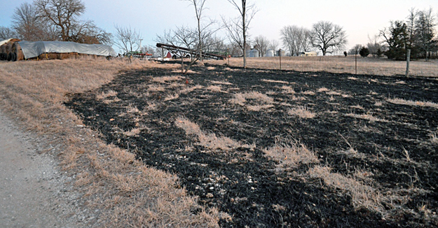 Fire In Pasture
